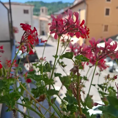 Domus Cassia Lägenhet